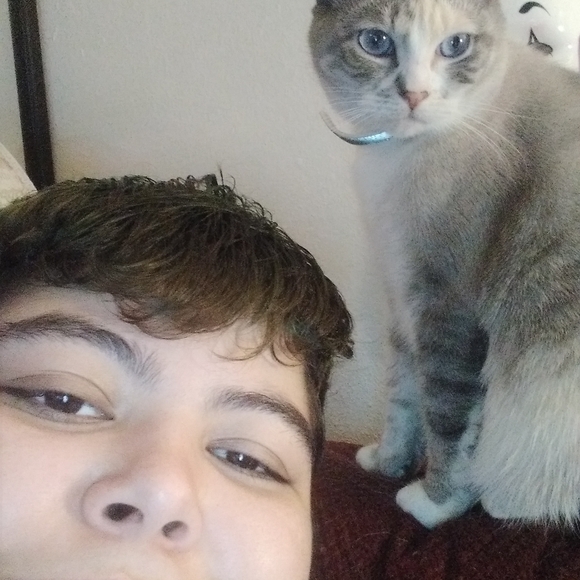 Meet your Posher, Kynisha - Picture 5 of 8